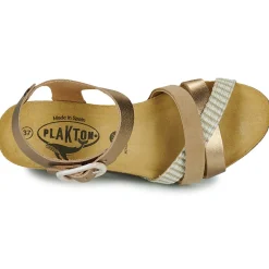 Kilesandaler Plakton