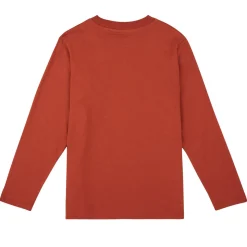 Langærmede T-shirts Jack & Jones