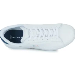 Lave sneakers Lacoste