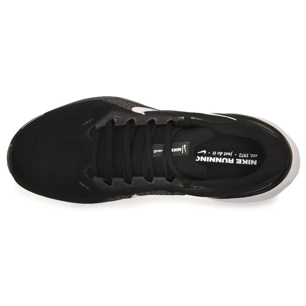 Nike Pegasus 41