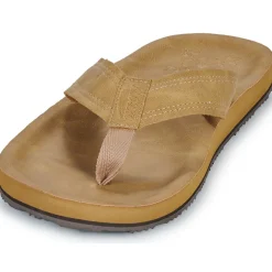 Oxbow VISKO