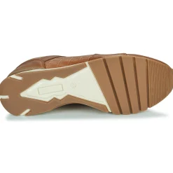 Pellet MAXIM