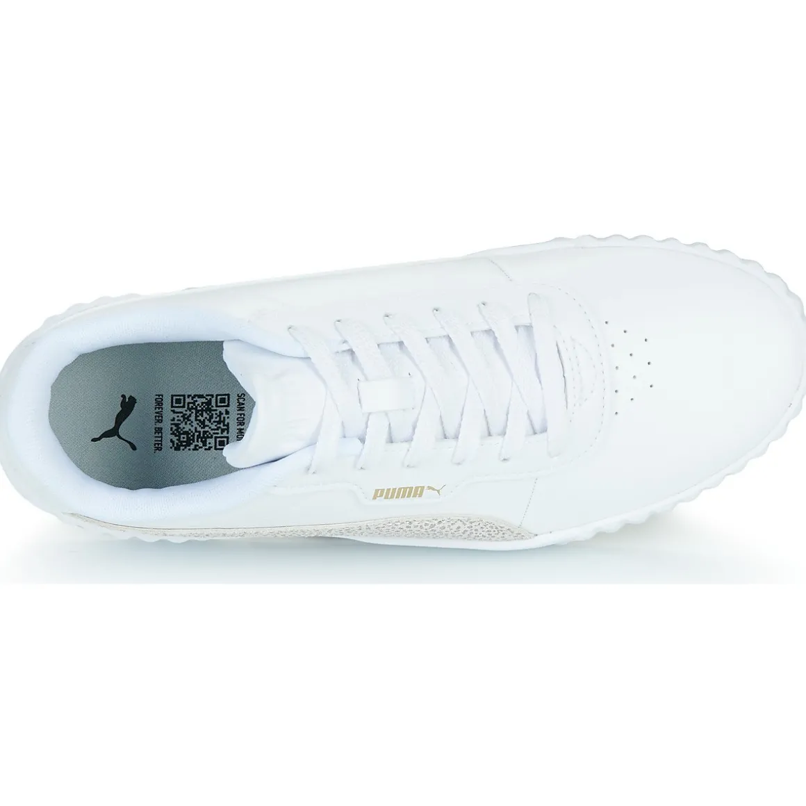 Puma CARINA