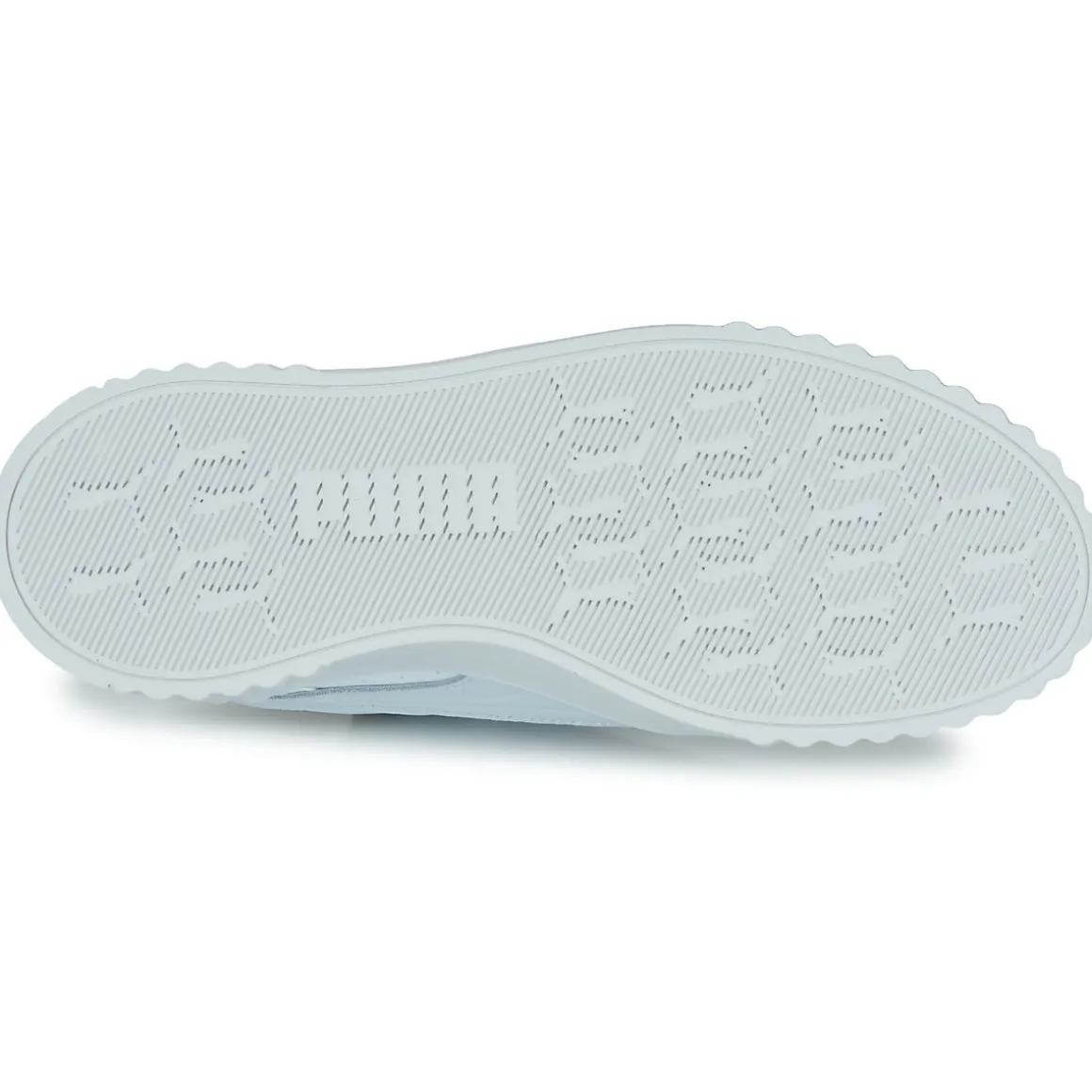 Puma CARINA