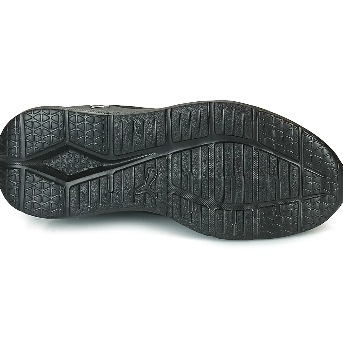 Puma Wired