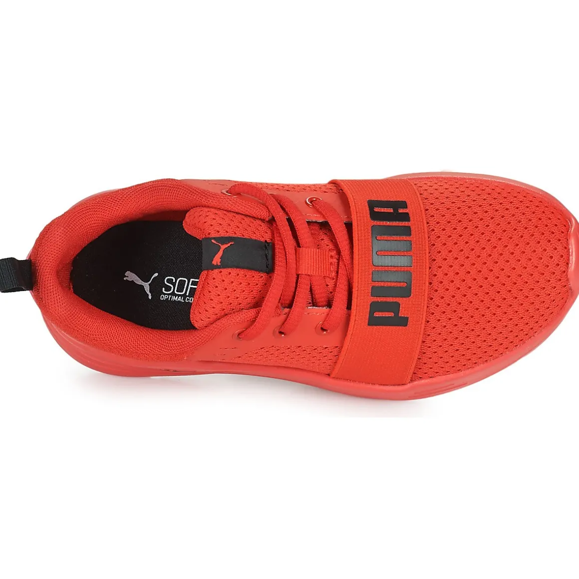 Puma Wired
