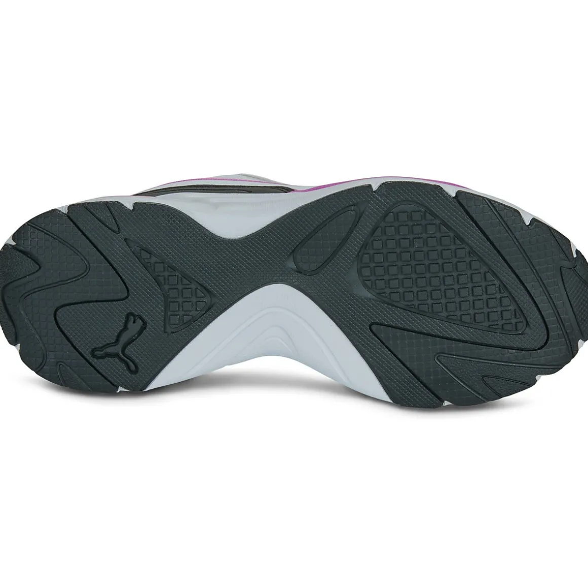Puma X-ray