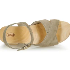 Scholl PESCURA CATE