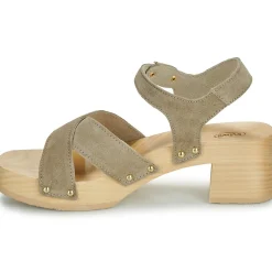 Scholl PESCURA CATE