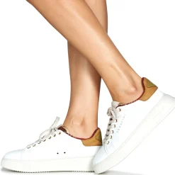 Serafini CONNORS