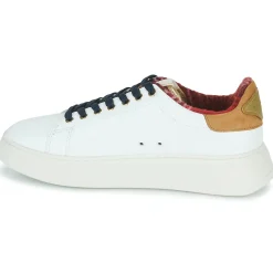 Serafini CONNORS