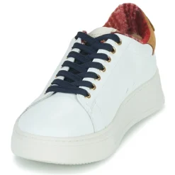Serafini CONNORS