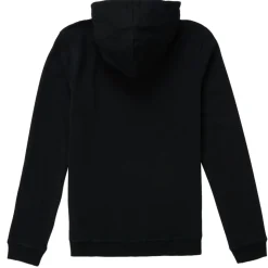 Sweatshirts m. hætte Guess